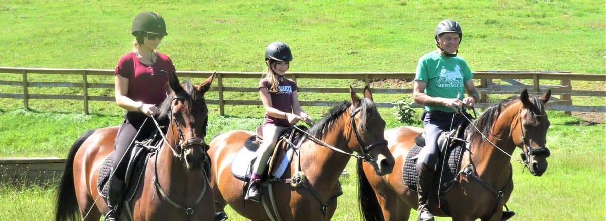 Morgan Treacy's award-winning photograph of horses racing on Laytown beach with stunning water reflections